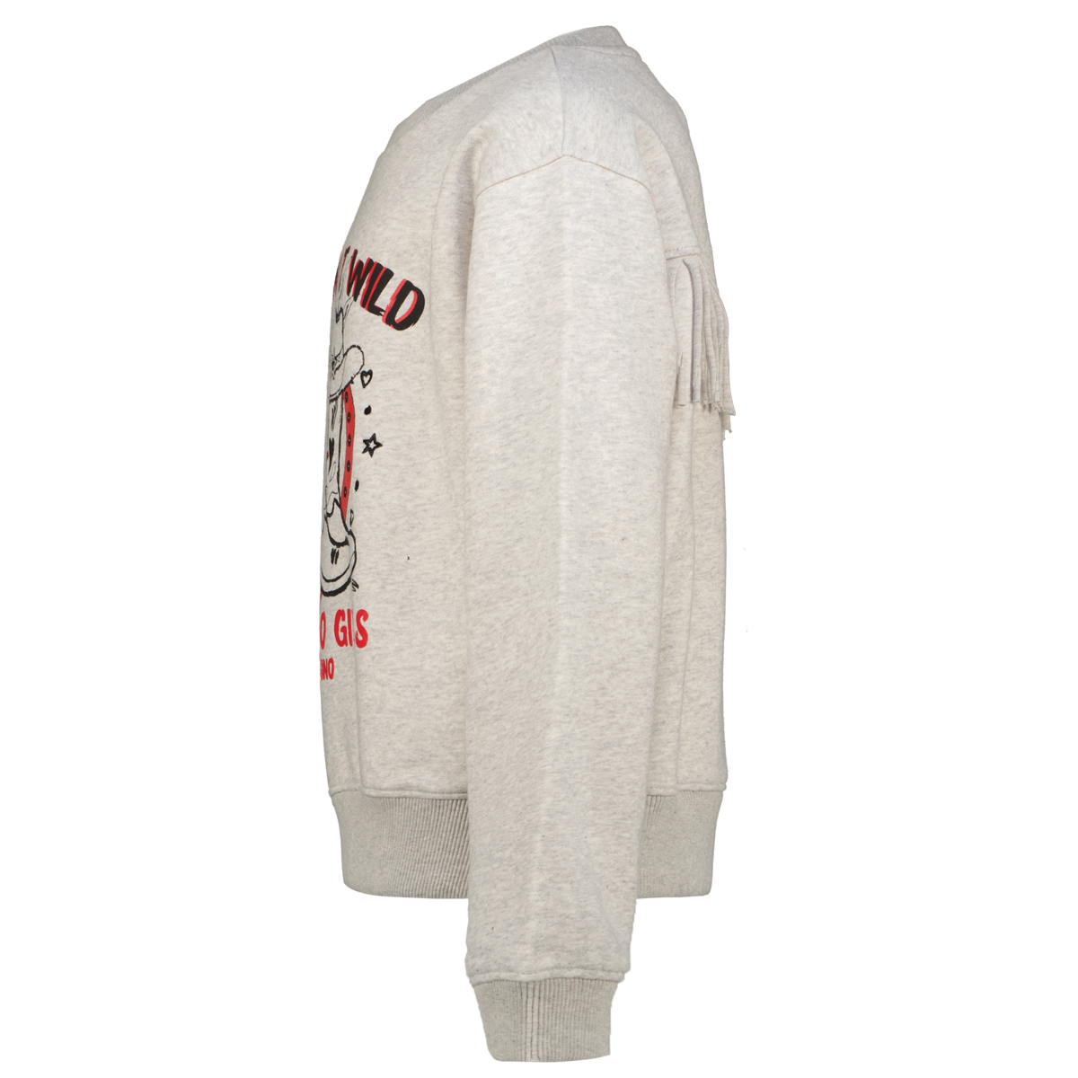 Sweatshirt Noah