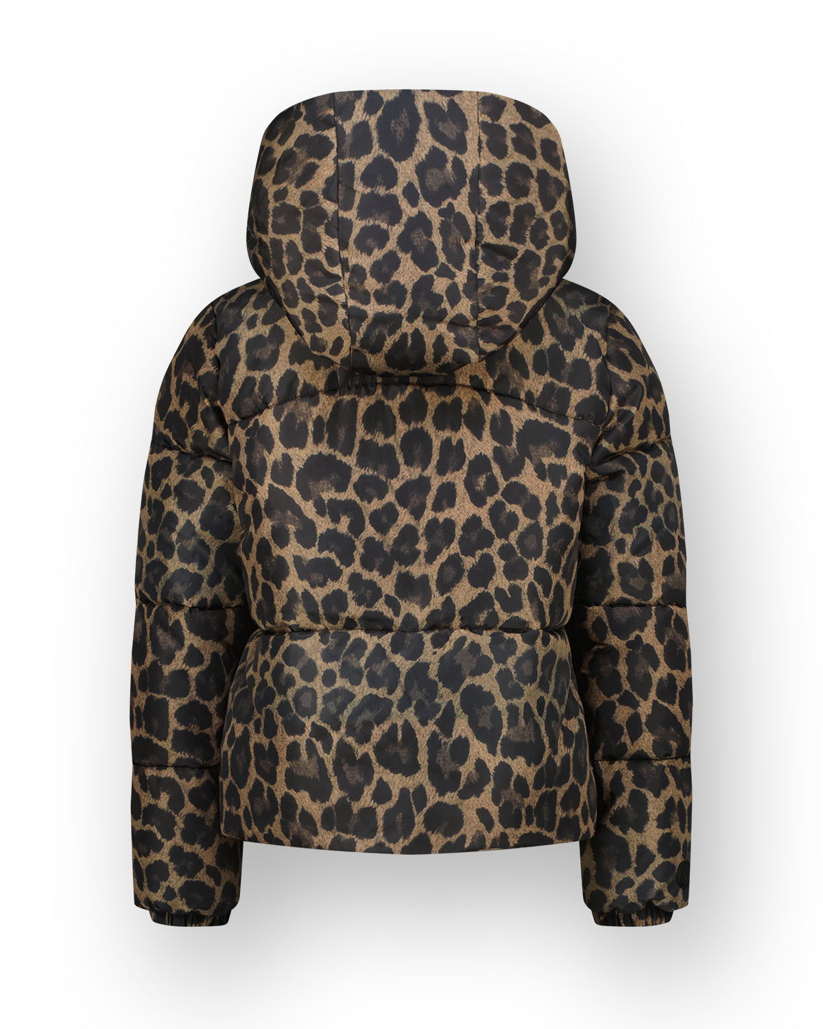 Hooded Jacket Tigelle