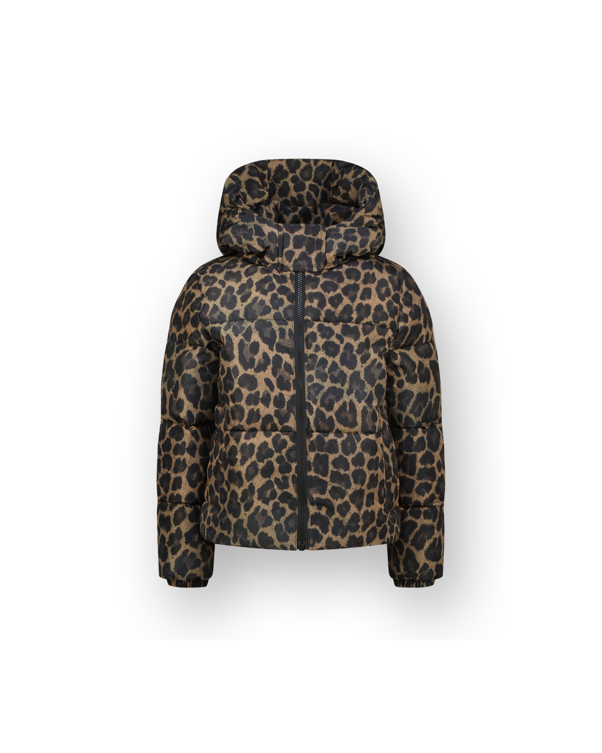 Hooded Jacket Tigelle