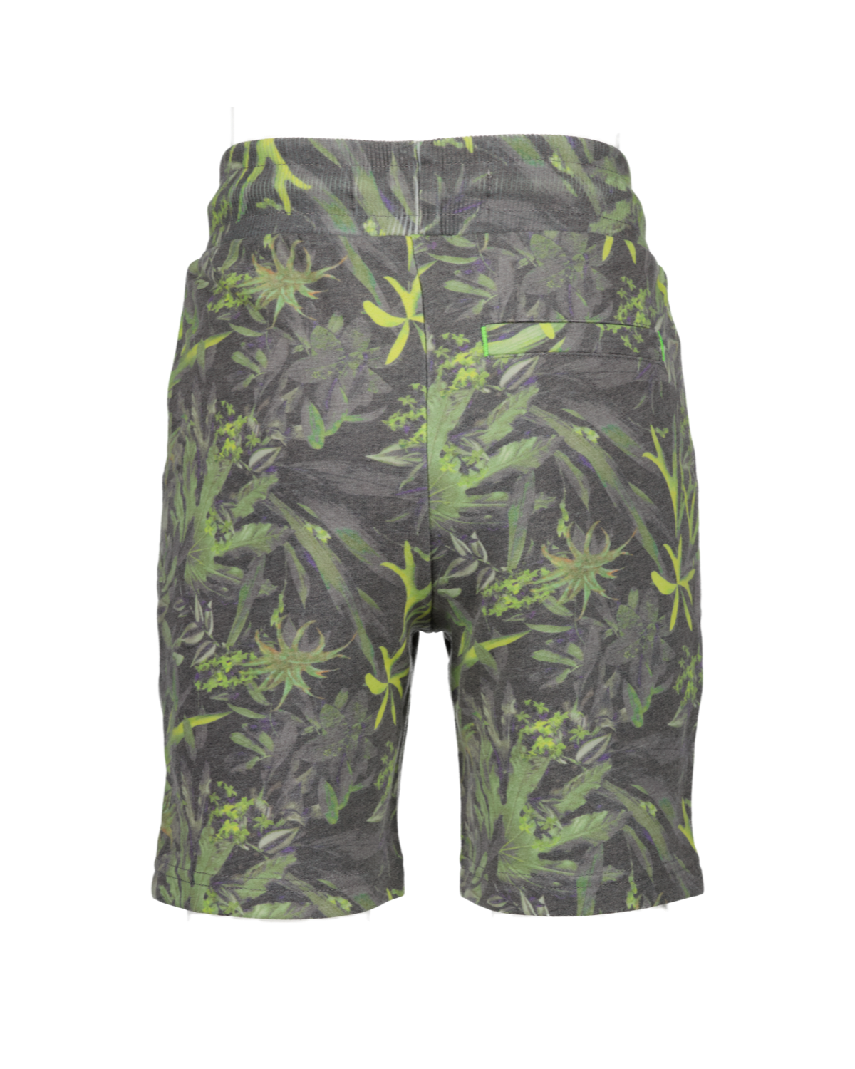 Short Rasont