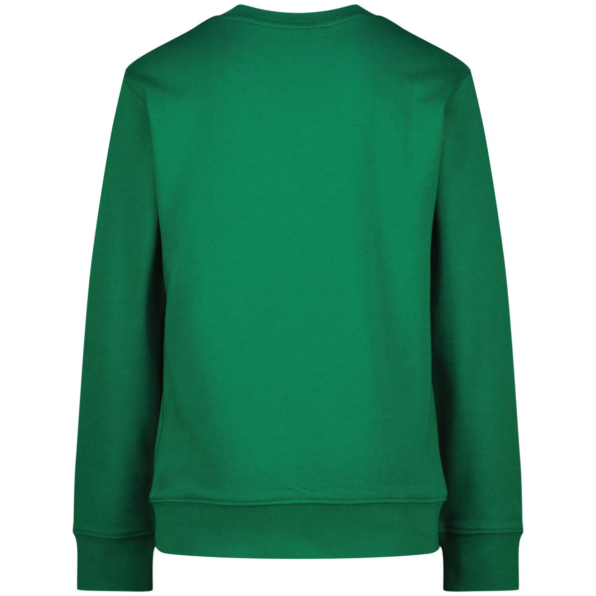 Sweater Ness