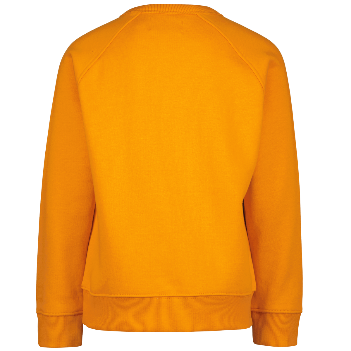 Sweater Jardy