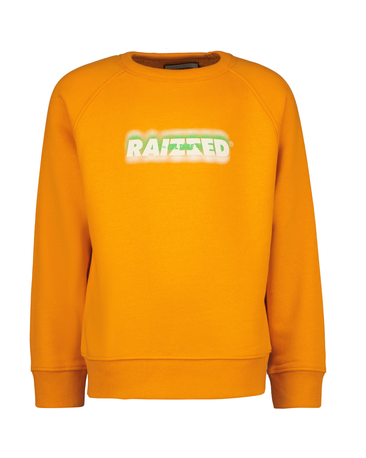 Sweater Jardy