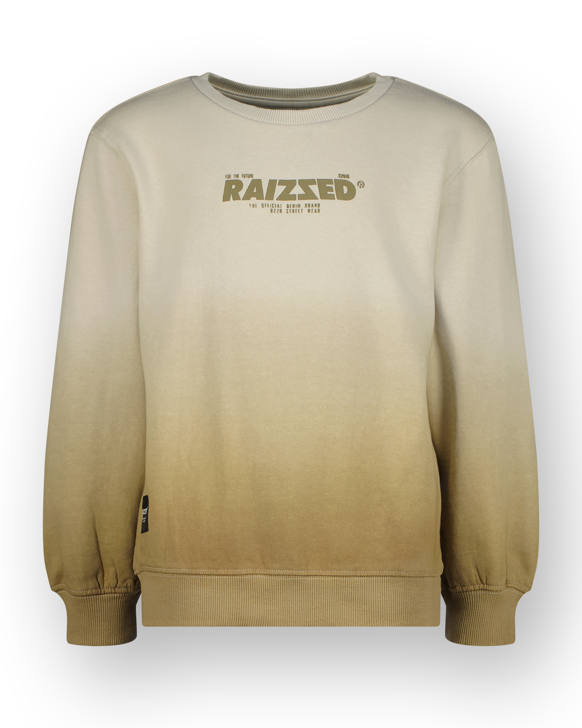 Sweatshirt Male